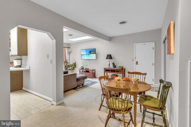 204 Skyhill Rd unit 10, Alexandria, VA 22314 - photo 7