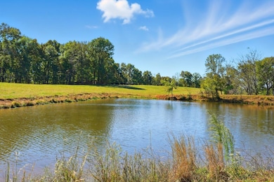 180 Tatum Rd, Pulaski, TN 38478 - photo 4