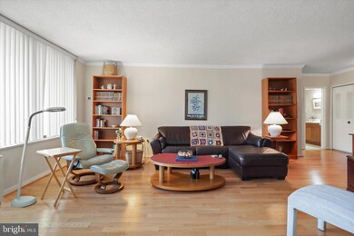 Skyline Plaza unit 2202S, Baileys Crossroads, VA 22041 - photo 6