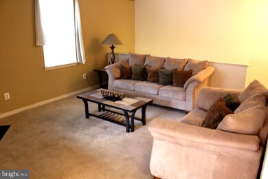 5002 Willow Branch Way, Owings Mills, MD 21117 - photo 4