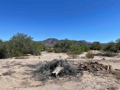 13559 S Ave 14 E, Yuma, AZ 85367 - photo 3