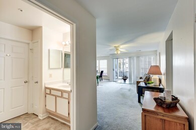 4405 Silverbrook Ln unit G102, Owings Mills, MD 21117 - photo 4