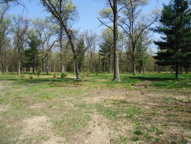 12372 N Bingham Ave, Bitely, MI 49309 - photo 5