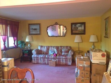 IMG_3329 (1)