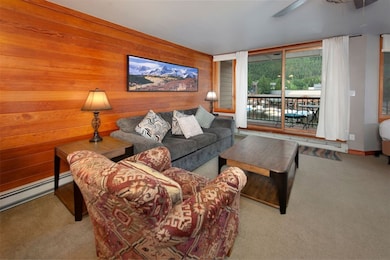 22080 US Highway 6 unit 1476, Dillon, CO 80435 - photo 2