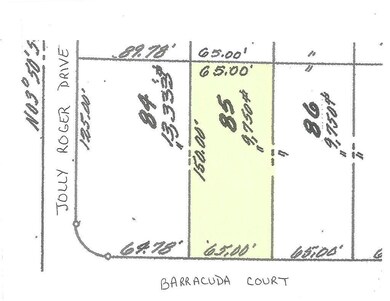 85 Barracuda Ct unit 85, Greenbackville, VA 23356 - photo 4