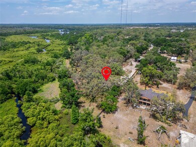 13907 Raulerson Rd unit Parcel A, Riverview, FL 33569 - photo 4