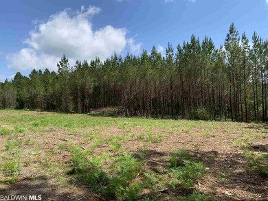 31810 Happy Hollow Rd, Robertsdale, AL 36567 - photo 2