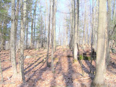 631-635 Upper Playground Trail, Hawley, PA 18428 - photo 6