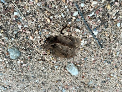 2112-C County Road 126, Gordon, TX 76453 - photo 7