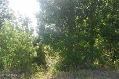 J Dowdy Road Carthage