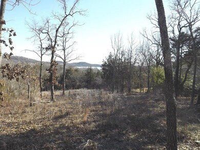 Lot 20 Overton Ct, Ruth B Rural Township, MO 65686 - photo 5