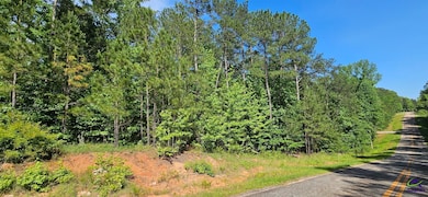 238 Brittany Ln, Gray, GA 31032 - photo 2