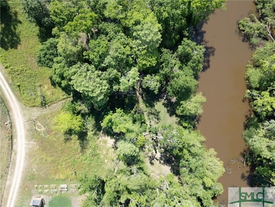 Lot 21 the River Landing Rd, Midville, GA 30441 - photo 6