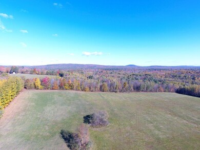 DJI_0131