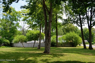 Back Yard 1