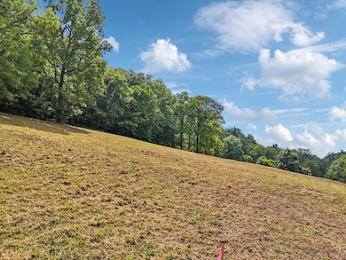 10A Puncheon Camp Ln, Bell Buckle, TN 37020 - photo 4