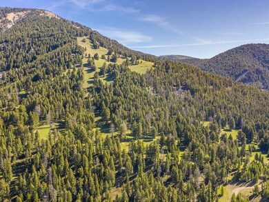 TBD N Fork Rd, Big Sky, MT 59716 - photo 7