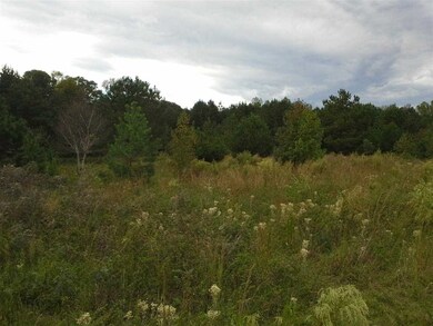 0 Maxeys Rd unit 45866, Union Point, GA 30669 - photo 2