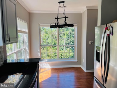 4551 Strutfield Ln unit 4337, Alexandria, VA 22311 - photo 3