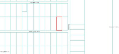 Lot 47 SW Neptune Blvd, Dunnellon, FL 34431 - photo 2