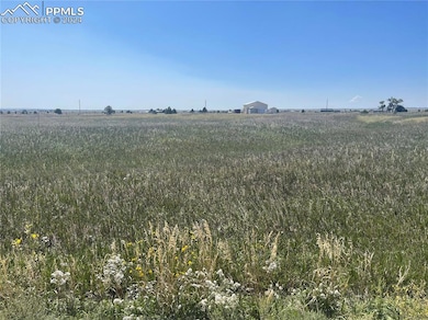 View of local wilderness featuring a rural view