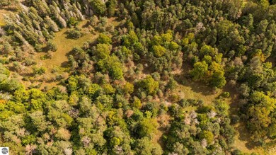 0 Maple City Hwy unit A, Lake Ann, MI 49650 - photo 7