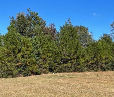 6 Burgetown Rd, Carriere, MS 39426 - photo 2