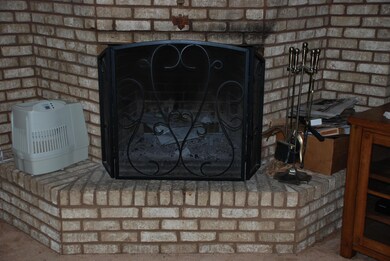 Wood burning fire place