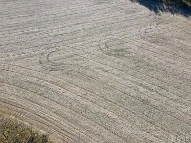 00 Patricia Rd, Germantown Township, IL 62245 - photo 6