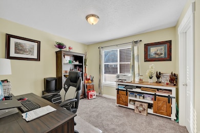 Office space featuring light colored carpet and a textured ceiling