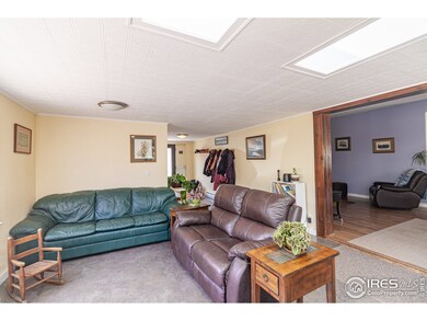 You'll Love the Natural Light