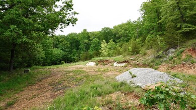 Lots 4 5 6 & Acreage Loch Dr, Kimberling City, MO 65686 - photo 4