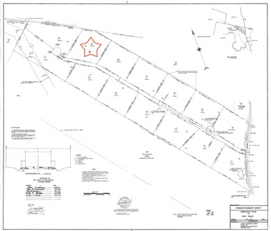 Survey - 301 Deer Run