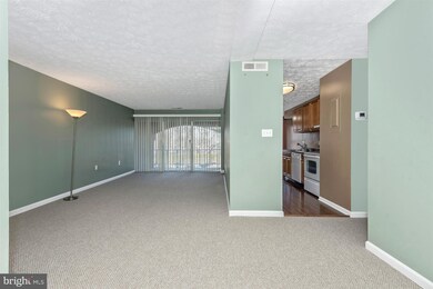 442 Girard St unit 201, Gaithersburg, MD 20877 - photo 7