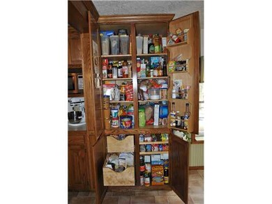 Kitchen Awesome pantry cabinet with bins, pull out