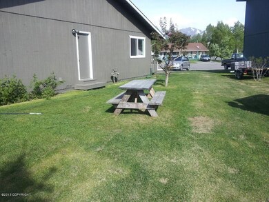 Backyard (1)