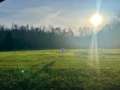 Lot 7 Hensley Rd, East Bernstadt, KY 40729 - photo 4