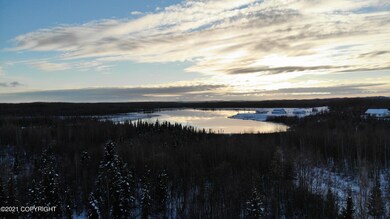3872 Pond Lily Ln, Big Lake, AK 99652 - photo 6