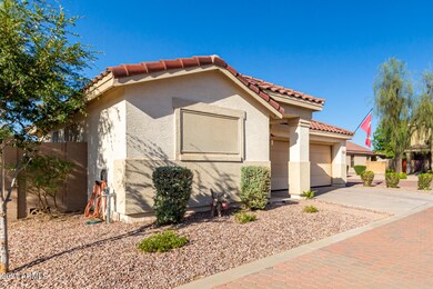 Desert Landscaping