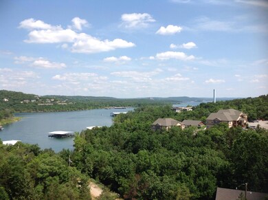 11 Treehouse Ln unit 8, Branson, MO 65616 - photo 2