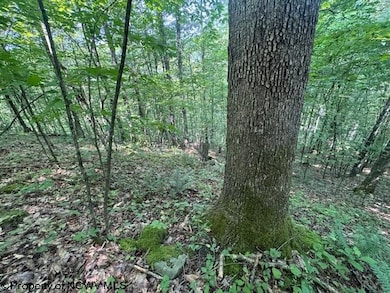 TBD Irontown Rd, Independence, WV 26374 - photo 6