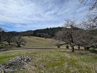 705 Bigfoot Path Rd, Kettenpom, CA 95595 - photo 3