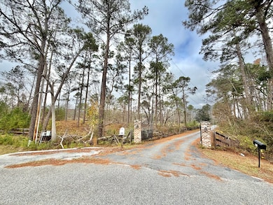 479 Altamaha Rd, Hazlehurst, GA 31539 - photo 2