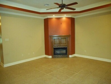 Living and fireplace