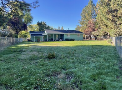 Back yard