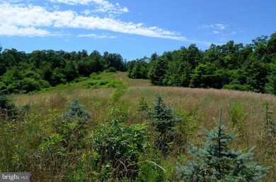 211 Tabasco Ln, Hedgesville, WV 25427 - photo 6