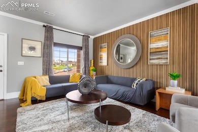 Living room featuring dark wood-type flooring and 