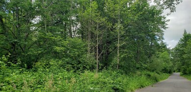 272 XX 96th Ave E, Graham, WA 98338 - photo 4