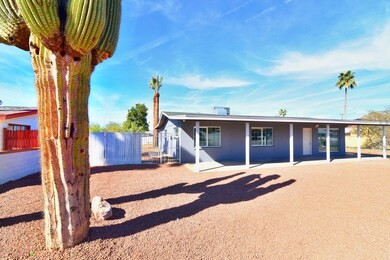 Front-Cactus